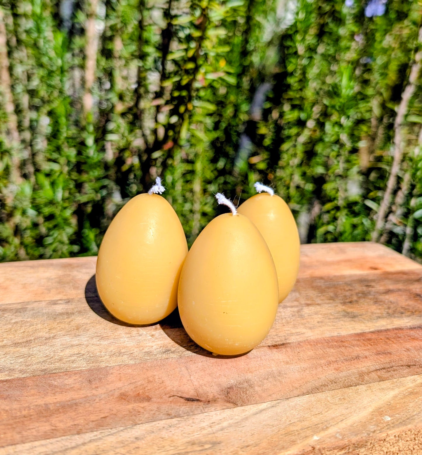 Beeswax Egg Candle